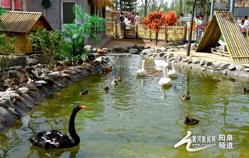 助力冬奧丨華北奕豐生態園戲雪樂園即將開園，生態旅游與冰雪運動完美融合