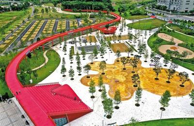 綠網織城，公園筑夢 260座公園星羅棋布，繪就生態光明新畫卷